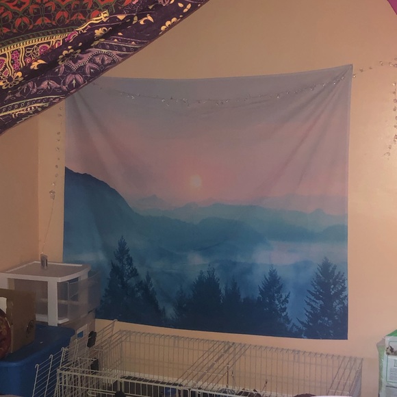 Society6 Other - Society 6 Sunset tapestry